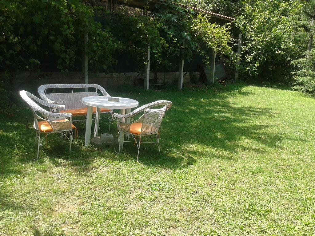 קוטור Apartment Sasha מראה חיצוני תמונה